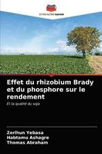 Effet du rhizobium Brady et du phosphore sur le rendement