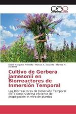 Cultivo de Gerbera jamesonii en Biorreactores de Inmersion Temporal