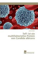 Tef1 ist ein multifaktorielles Protein von Candida albicans