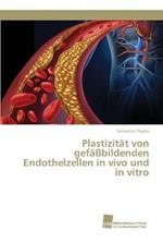 Plastizitat von gefassbildenden Endothelzellen in vivo und in vitro