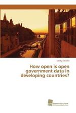 How open is open government data in developing countries?