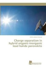 Charge separation in hybrid organic-inorganic lead halide perovskite