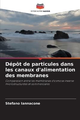 Dépôt de particules dans les canaux d'alimentation des membranes - Stefano Iannacone - cover