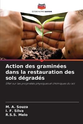 Action des graminées dans la restauration des sols dégradés - M a Souza,I F Silva,R S S Melo - cover