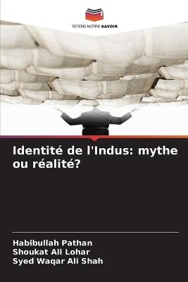 Identité de l'Indus: mythe ou réalité? - Habibullah Pathan,Shoukat Ali Lohar,Syed Waqar Ali Shah - cover