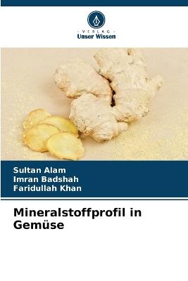 Mineralstoffprofil in Gemüse - Sultan Alam,Imran Badshah,Faridullah Khan - cover
