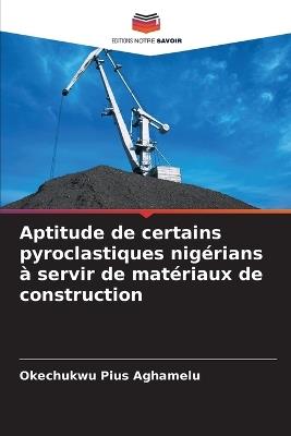 Aptitude de certains pyroclastiques nigérians à servir de matériaux de construction - Okechukwu Pius Aghamelu - cover