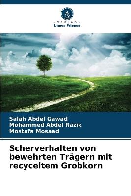 Scherverhalten von bewehrten Trägern mit recyceltem Grobkorn - Salah Abdel Gawad,Mohammed Abdel Razik,Mostafa Mosaad - cover