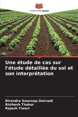 Une étude de cas sur l'étude détaillée du sol et son interprétation - Birendra Swaroop Dwivedi,Risikesh Thakur,Rajesh Tiwari - cover