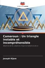 Cameroun: Un triangle instable et incomprehensible