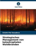 Strategisches Management von katastrophalen Waldbranden