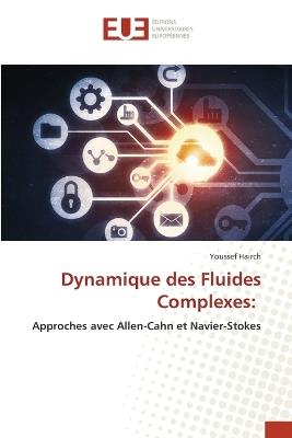 Dynamique des Fluides Complexes - Youssef Hairch - cover