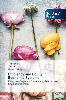 Efficiency and Equity in Economic Systems - Tingwen Liu,Yuan Ji,Qiankun Wang - cover