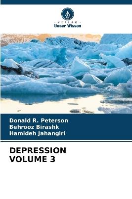 Depression Volume 3 - Donald R Peterson,Behrooz Birashk,Hamideh Jahangiri - cover