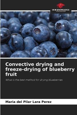 Convective drying and freeze-drying of blueberry fruit - María del Pilar Lara Pérez - cover