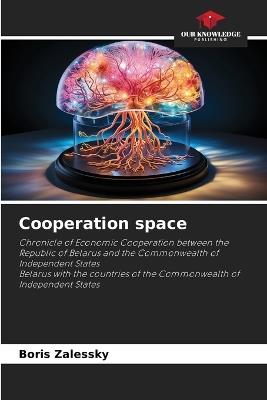 Cooperation space - Boris Zalessky - cover