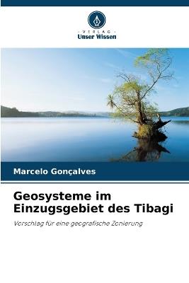 Geosysteme im Einzugsgebiet des Tibagi - Marcelo Gon?alves - cover
