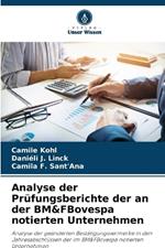 Analyse der Pr?fungsberichte der an der BM&FBovespa notierten Unternehmen