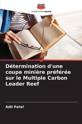 Détermination d'une coupe minière préférée sur le Multiple Carbon Leader Reef - Adil Patel - cover