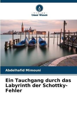 Ein Tauchgang durch das Labyrinth der Schottky-Fehler - Abdelhafid Mimouni - cover