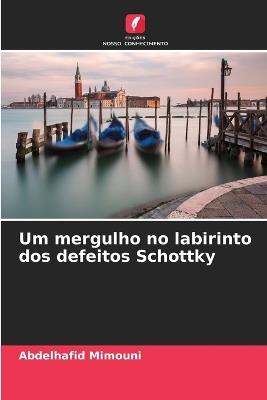Um mergulho no labirinto dos defeitos Schottky - Abdelhafid Mimouni - cover
