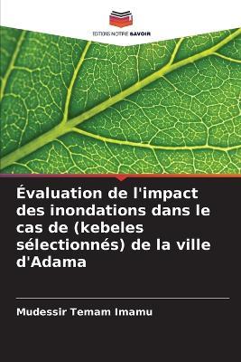 ?valuation de l'impact des inondations dans le cas de (kebeles s?lectionn?s) de la ville d'Adama - Mudessir Temam Imamu - cover