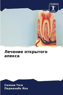 ??????? ????????? ?????? - ?????? ????,????????? ??? - cover
