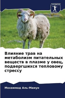 ??????? ???? ?? ?????????? ??????????? ?е - ???????? ???-????? - cover