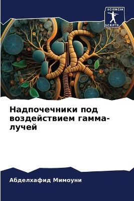 ???????????? ??? ???????????? ?????-???? - ?????????? ??????? - cover