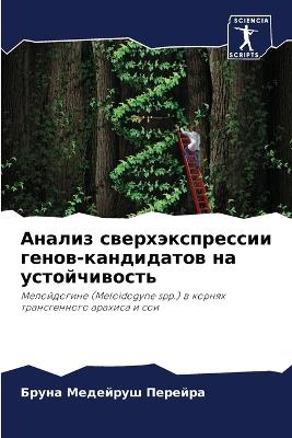 ?????? ??????????????? ?????-?????????? - ??? ???????? ??????? - cover