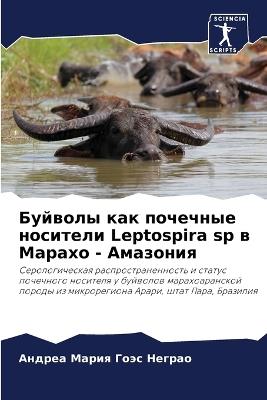 ??????? ??? ???????? ???????? Leptospira sp ? ?????? -  - ?????? ????? ? ?????? - cover