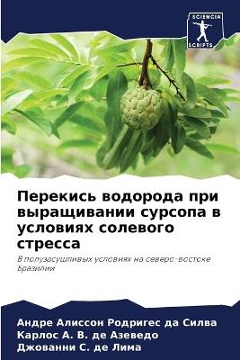 ???????? ???????? ??? ??????????? ?????? - ??? ???????? ?? ?????,?????? ? В. де Азеведо,???????? С. де Лима - cover