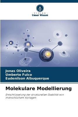 Molekulare Modellierung - Jonas Oliveira,Umberto Fulco,Eudenilson Albuquerque - cover