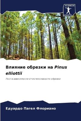 ??????? ??????? ?? Pinus elliottii - ??????? ??? ???????? - cover