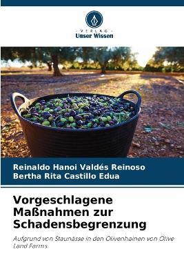 Vorgeschlagene Ma?nahmen zur Schadensbegrenzung - Reinaldo Hanoi Valdes Reinoso,Bertha Rita Castillo Edua - cover