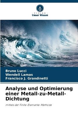 Analyse und Optimierung einer Metall-zu-Metall-Dichtung - Bruno Lucci,Wendell Lamas,Francisco J Grandinetti - cover