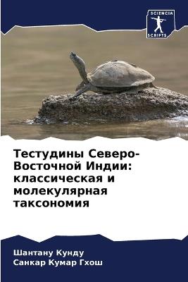 ????????? ??????-????????? ?????: ???????????? ? ???????????? ?????????? - ??????? ?????,?????? ????? ???? - cover