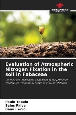 Evaluation of Atmospheric Nitrogen Fixation in the soil in Fabaceae - Paulo Tebulo,Sales Paiva,Banu Irenio - cover