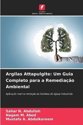 Argilas Attapulgite: Um Guia Completo para a Remedia??o Ambiental - Sahar N Abdullah,Nagam M Abod,Mustafa A Abdulkareem - cover
