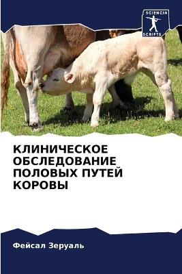 ??????????? ???????????? ??????? ????? ? - ?????? ??????? - cover