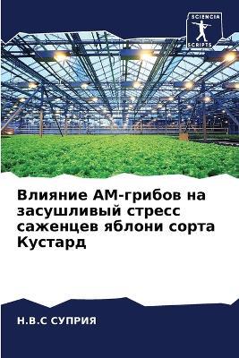 ??????? ??-?????? ?? ?????????? ?????? ??k - Н.В.С ?????? - cover