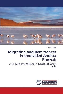 Migration and Remittances in Undivided Andhra Pradesh - Vani Chinta - cover