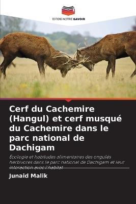 Cerf du Cachemire (Hangul) et cerf musqué du Cachemire dans le parc national de Dachigam - Junaid Malik - cover