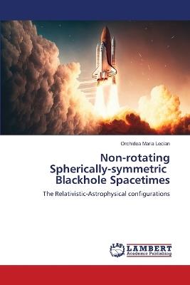 Non-rotating Spherically-symmetric Blackhole Spacetimes - Orchidea Maria Lecian - cover