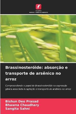 Brassinosteróide: absorção e transporte de arsênico no arroz - Bishun Deo Prasad,Bhawna Chaudhary,Sangita Sahni - cover