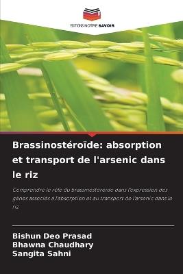 Brassinostéroïde: absorption et transport de l'arsenic dans le riz - Bishun Deo Prasad,Bhawna Chaudhary,Sangita Sahni - cover