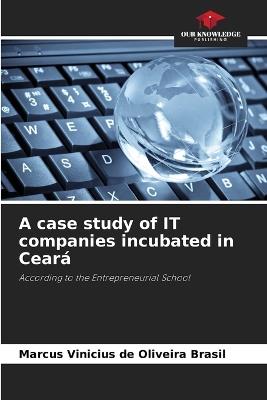 A case study of IT companies incubated in Ceará - Marcus Vinicius de Oliveira Brasil - cover