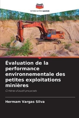 Évaluation de la performance environnementale des petites exploitations minières - Hermam Vargas Silva - cover