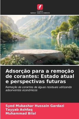 Adsorção para a remoção de corantes: Estado atual e perspectivas futuras - Syed Mubashar Hussain Gardazi,Tayyab Ashfaq,Muhammad Bilal - cover