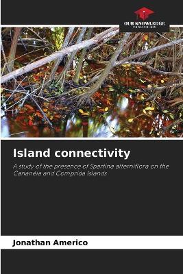 Island connectivity - Jonathan Americo - cover